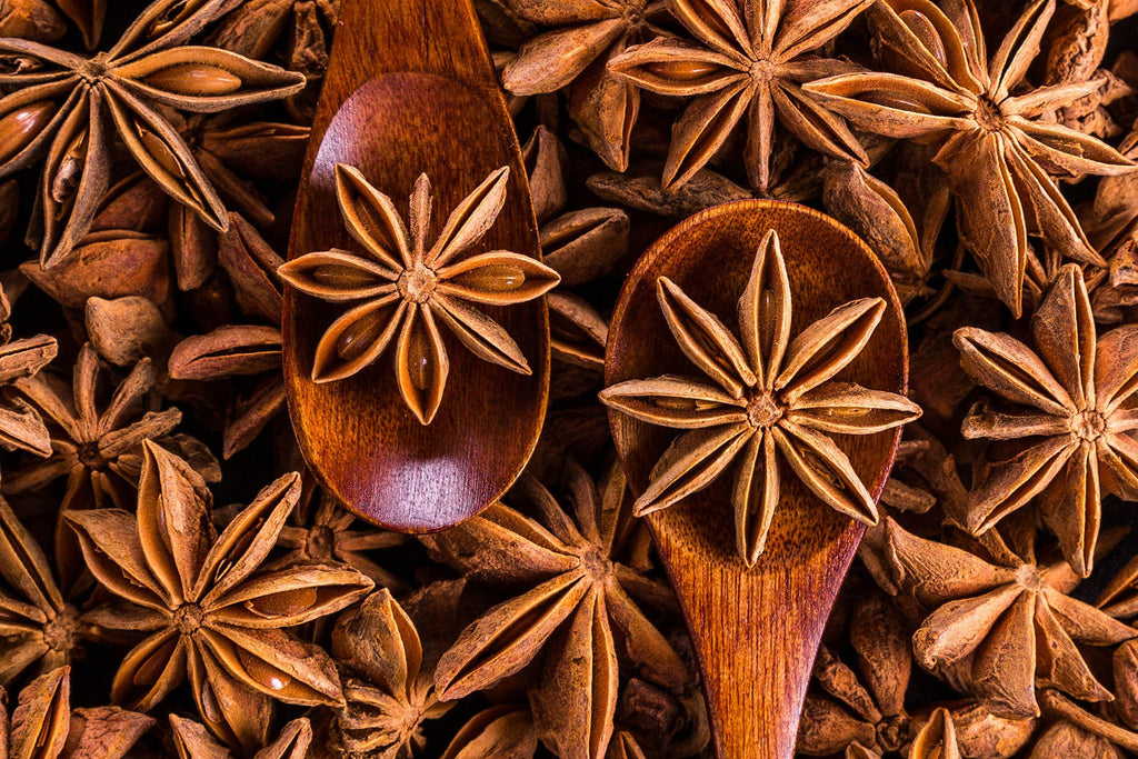 Ground or Whole Star Anise - Which is Best? | spice-world.co.za