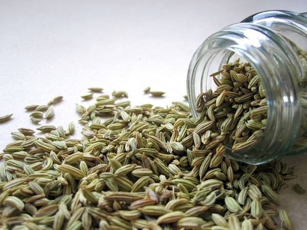3 Fennel Benefits for Health & Wellness