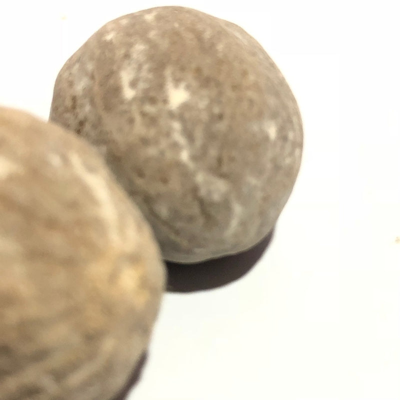 Whole Nutmeg 2s