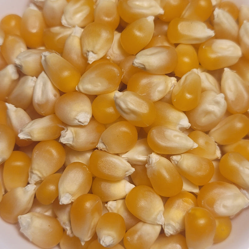 Biggi Popcorn Seeds 500g